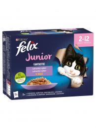 Felix Fantastic Junior lahodný výběr v želé 12x85 g