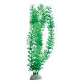 FLIPPER Akvarijní rostlina Ambulia mix 20-28 cm blister