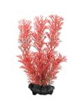 Tetra Akvarijní rostlina Foxtail Red S 15 cm