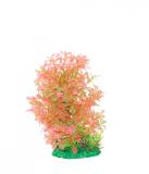 ATG Line Akvarijní rostlina Premium Small 301 18 - 25 cm