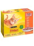 Friskies Cat multipack oranžový - kuře, losos, kachna, krůta ve šťávě 12x85 g