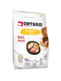 Ontario Cat Exigent 400 g