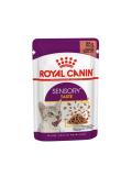 12 x Royal Canin kapsička Sensory Taste in gravy 85 g