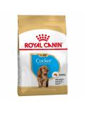 Royal Canin Kokr Puppy 3 kg