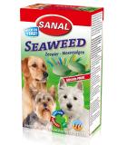 Sanal Seaweed mořská řasa 100 g