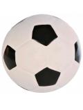 Trixie Sportovní míč plněný latex 13 cm